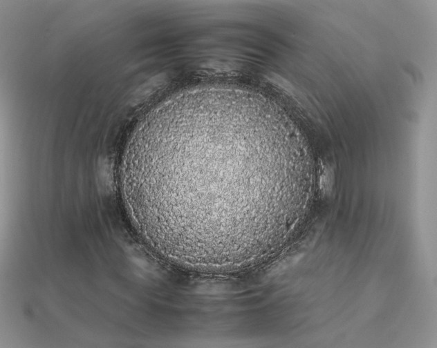 X0000112040819200908101359