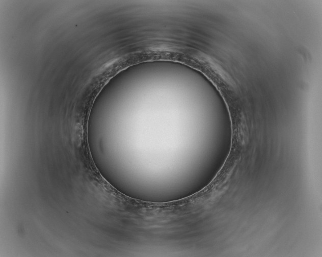 X0000112040821200908101359