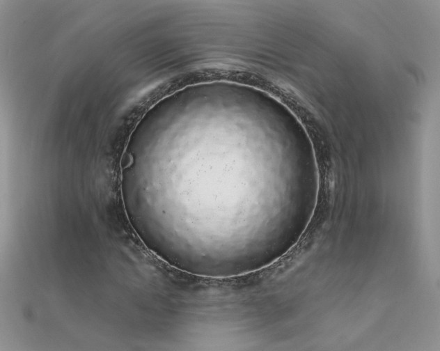 X0000112040822200908101359