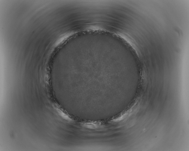 X0000112040823200908101359