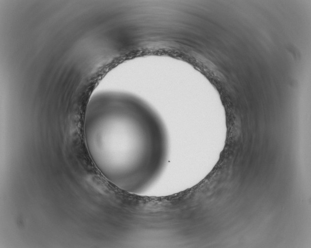 X0000112040824200908101359