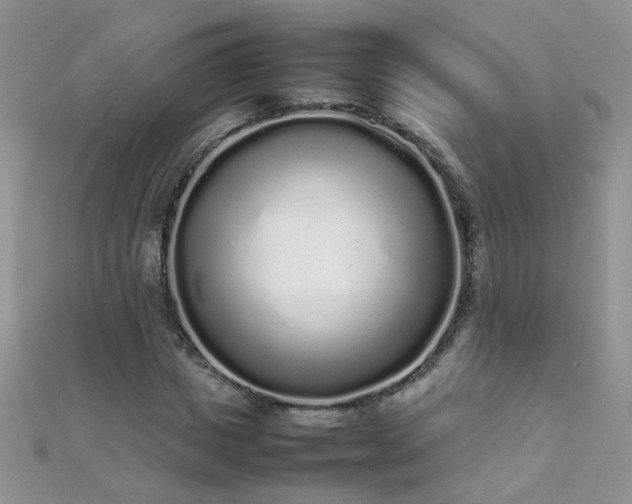 X0000112040825200908101359