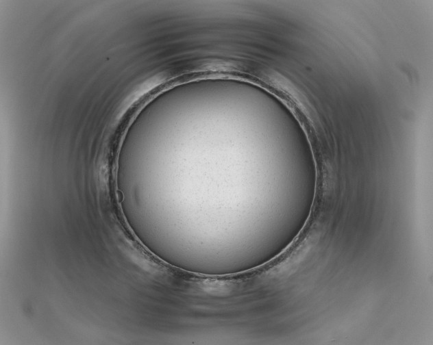 X0000112040827200908101359