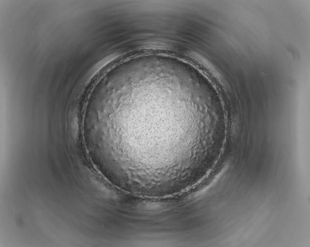 X0000112040829200908101359
