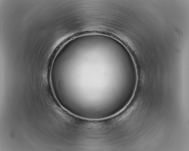 X0000112040830200908101359