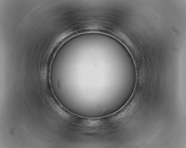 X0000112040831200908101359