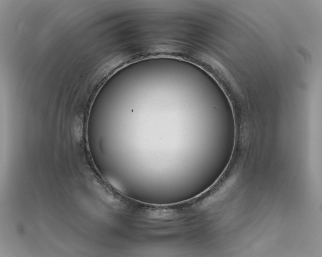X0000112040833200908101359