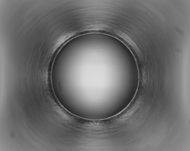 X0000112040834200908101359