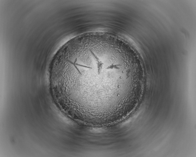 X0000112040835200908101359