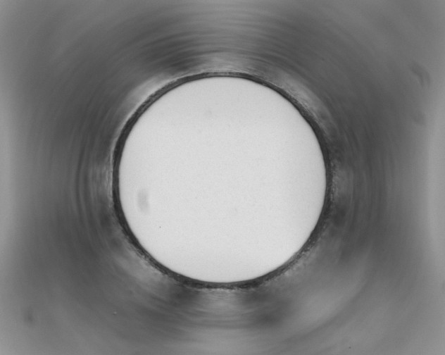 X0000112040836200908101359