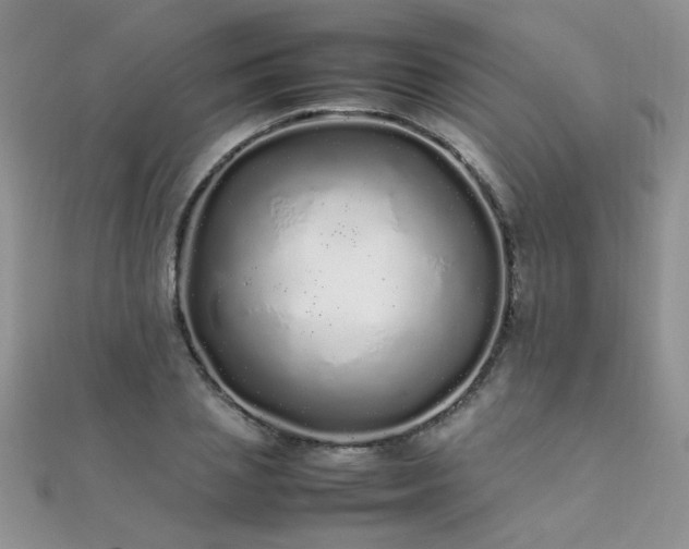 X0000112040837200908101359