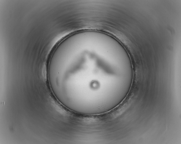 X0000112040838200908101359