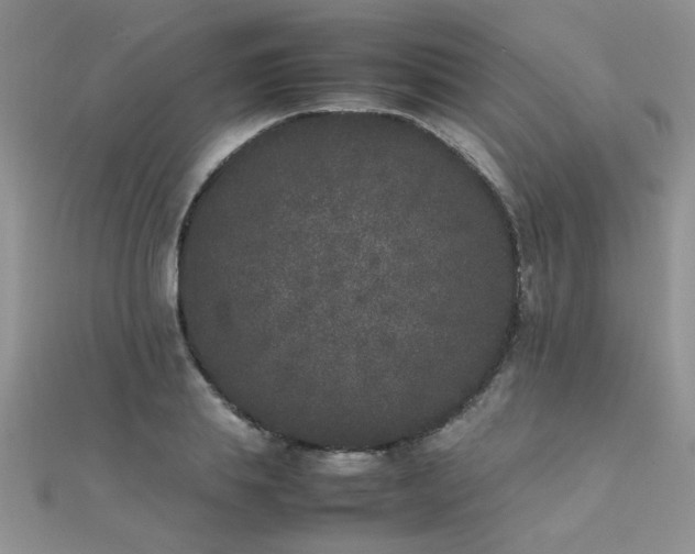 X0000112040839200908101359