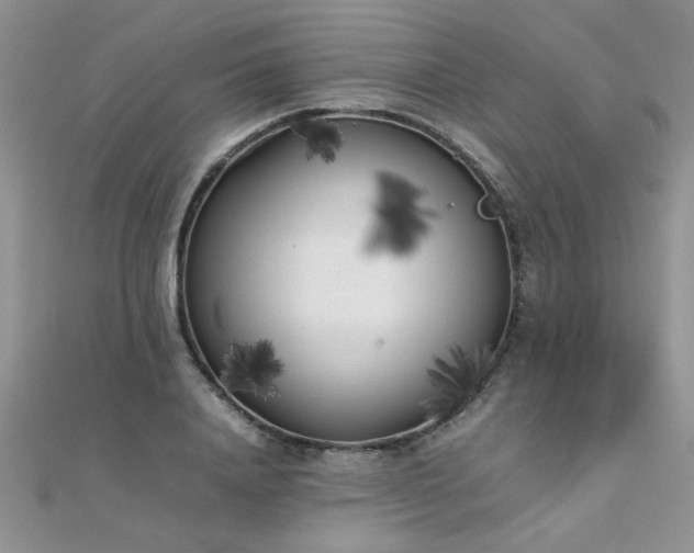 X0000112040840200908101359