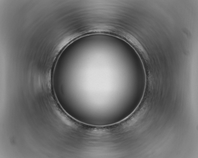 X0000112040842200908101359