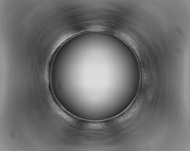 X0000112040843200908101359