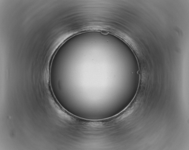 X0000112040844200908101359