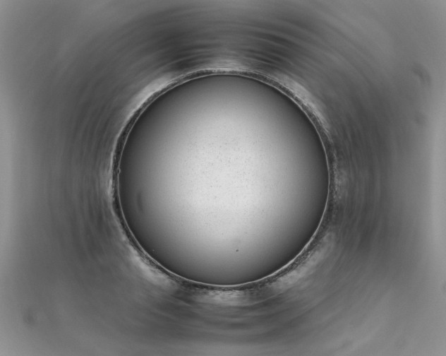 X0000112040845200908101359