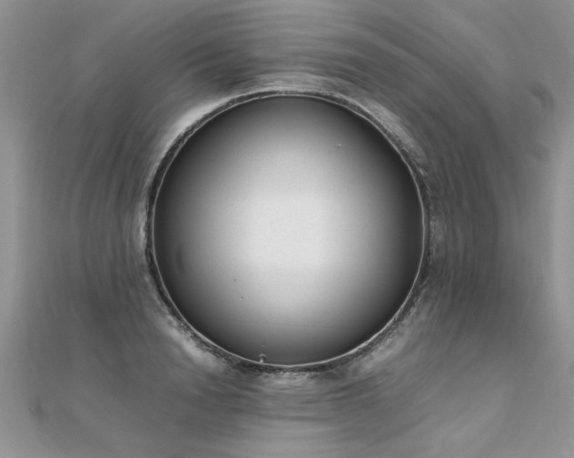 X0000112040846200908101359