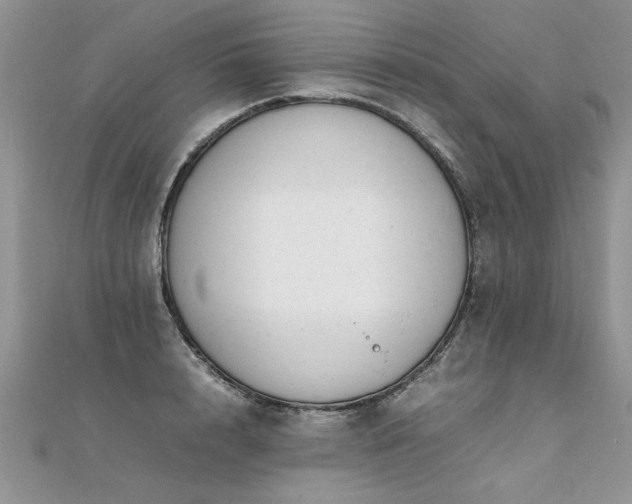 X0000112040848200908101359