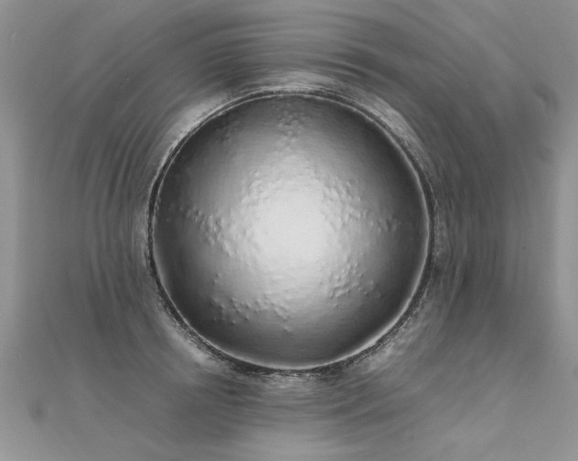 X0000112040850200908101359