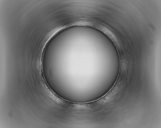 X0000112040852200908101359