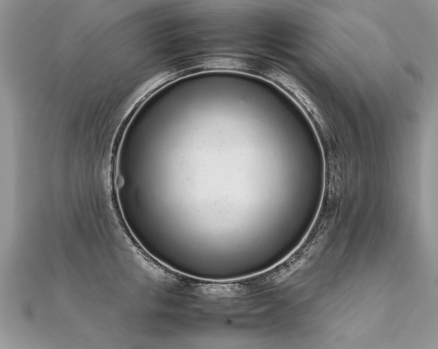 X0000112040853200908101359