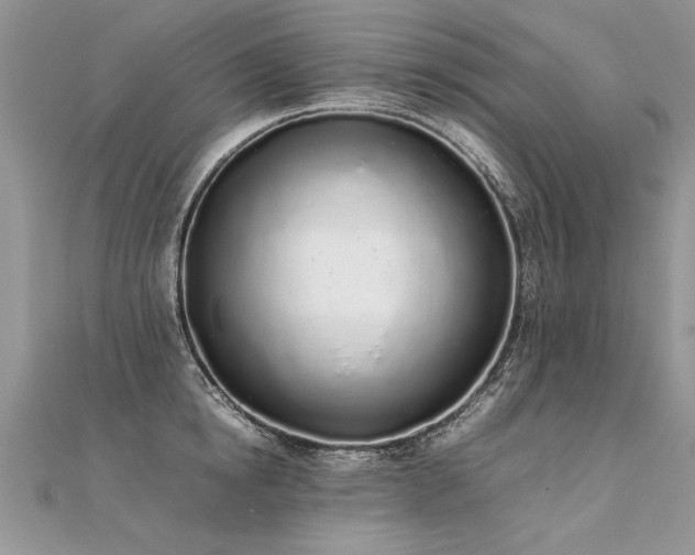 X0000112040854200908101359