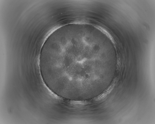 X0000112040855200908101359