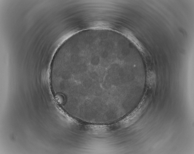 X0000112040856200908101359