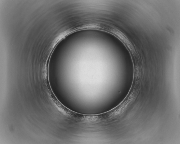X0000112040858200908101359