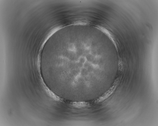 X0000112040859200908101359