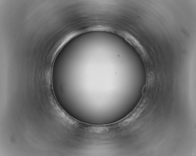 X0000112040860200908101359
