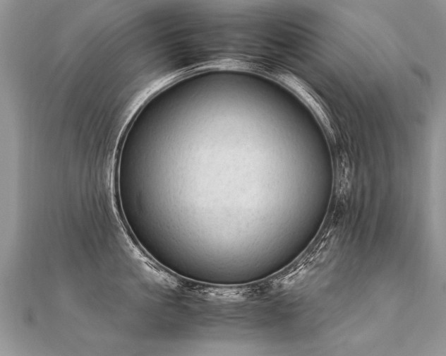 X0000112040861200908101359