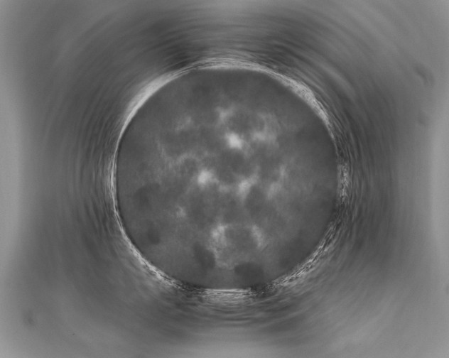 X0000112040863200908101400
