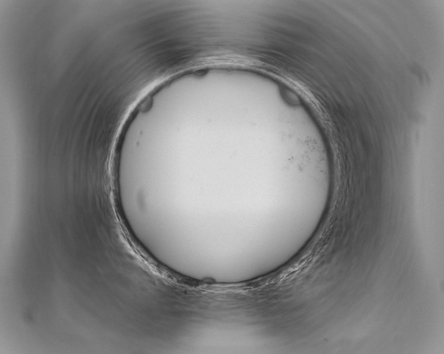 X0000112040864200908101400