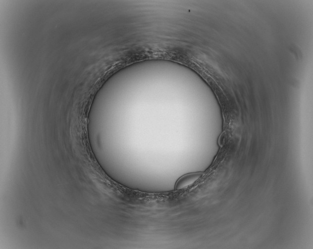X0000112040865200908101359