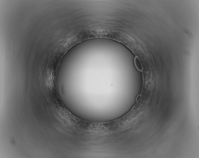 X0000112040866200908101359