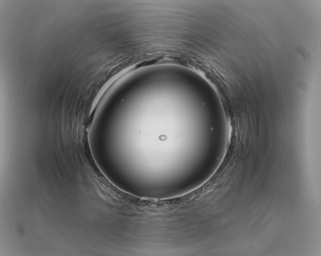 X0000112040868200908101359