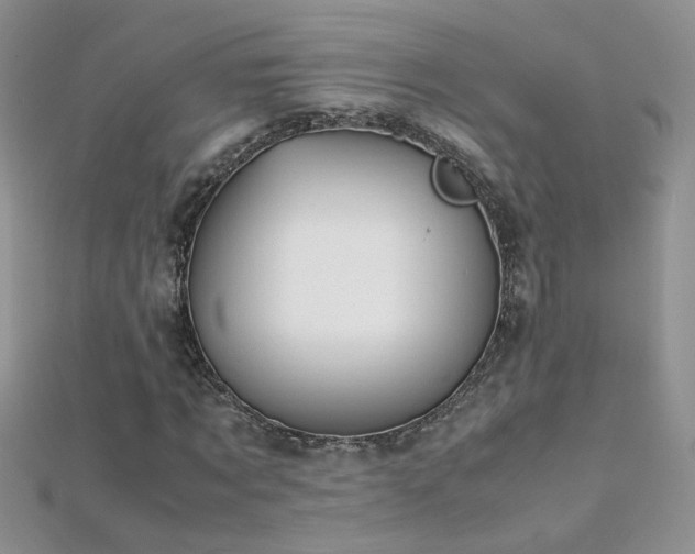 X0000112040869200908101359