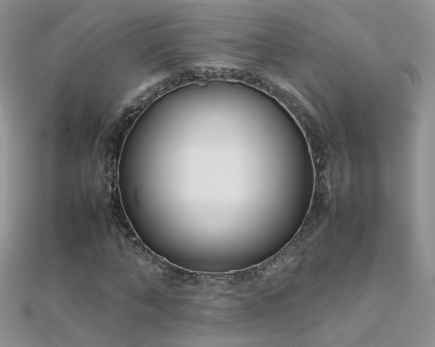 X0000112040870200908101359