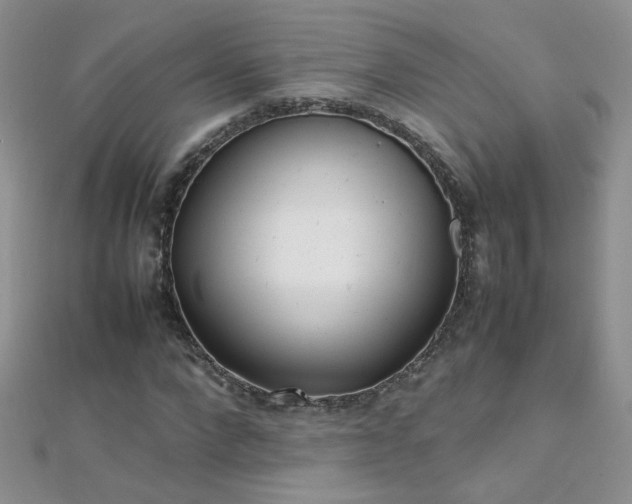 X0000112040872200908101359