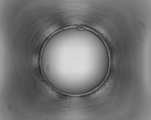 X0000112040873200908101359