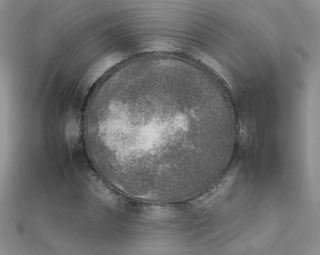 X0000112040874200908101359