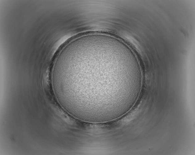 X0000112040875200908101359