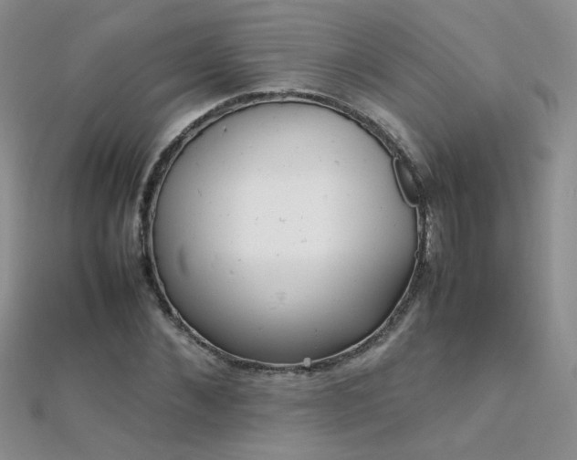 X0000112040876200908101359