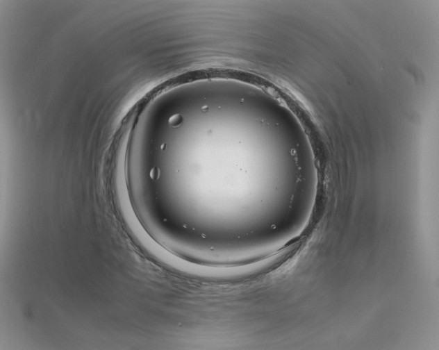 X0000112040877200908101359