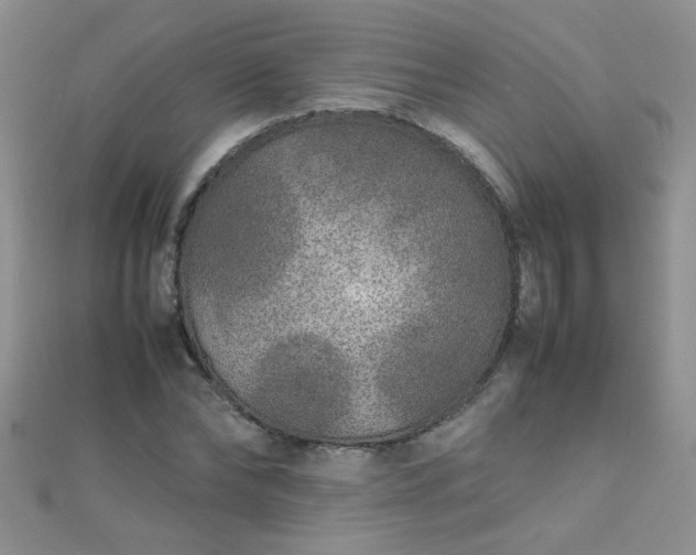 X0000112040878200908101359