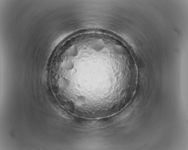 X0000112040879200908101359