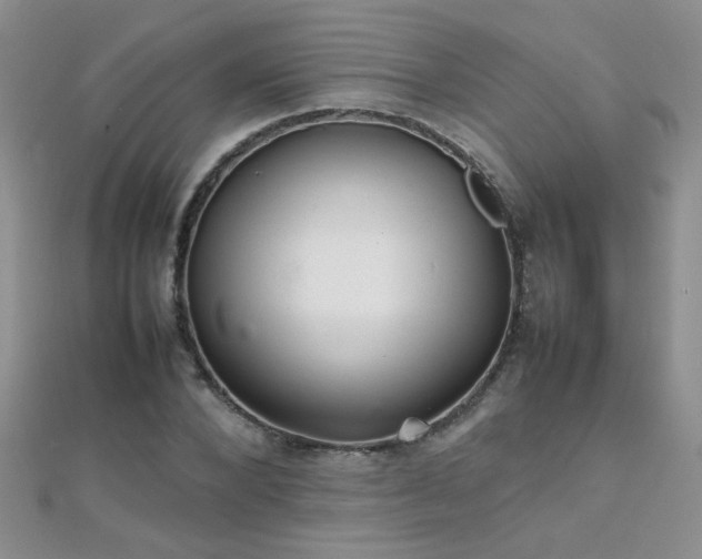 X0000112040880200908101359